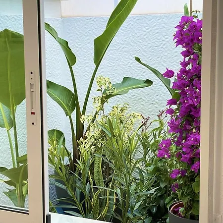 Flamingo Gran Alacant