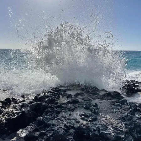 Flamingo Gran Alacant