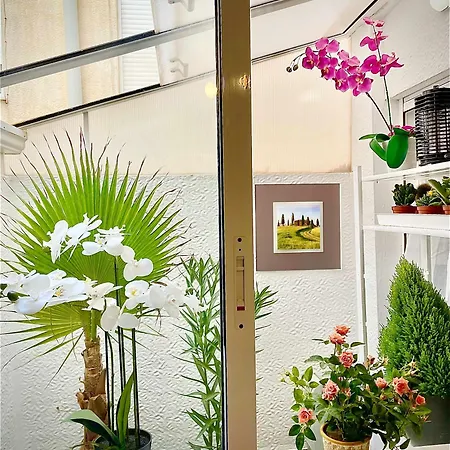 Flamingo Gran Alacant سانتا بولا